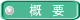 概 要